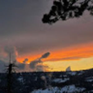 Meet your Posher, Abbey